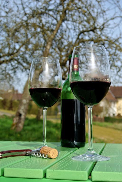 Apartmán Wellness-Ferienhaus Eifel Feeling Gillenbeuren Pokoj fotografie