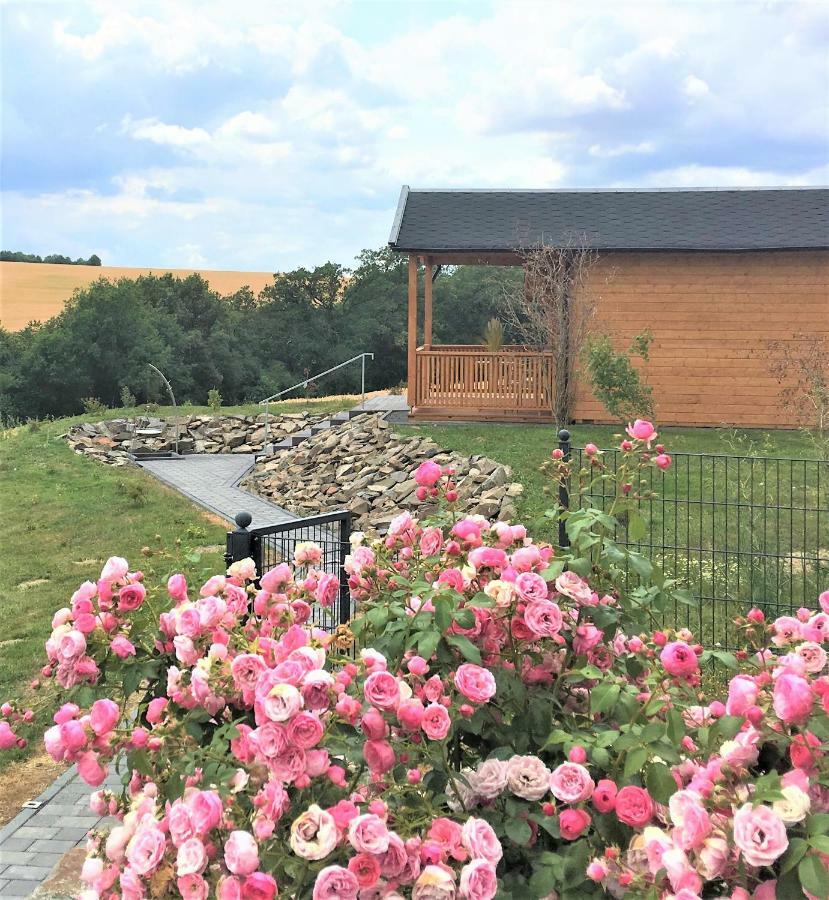 Apartmán Wellness-Ferienhaus Eifel Feeling Gillenbeuren Exteriér fotografie